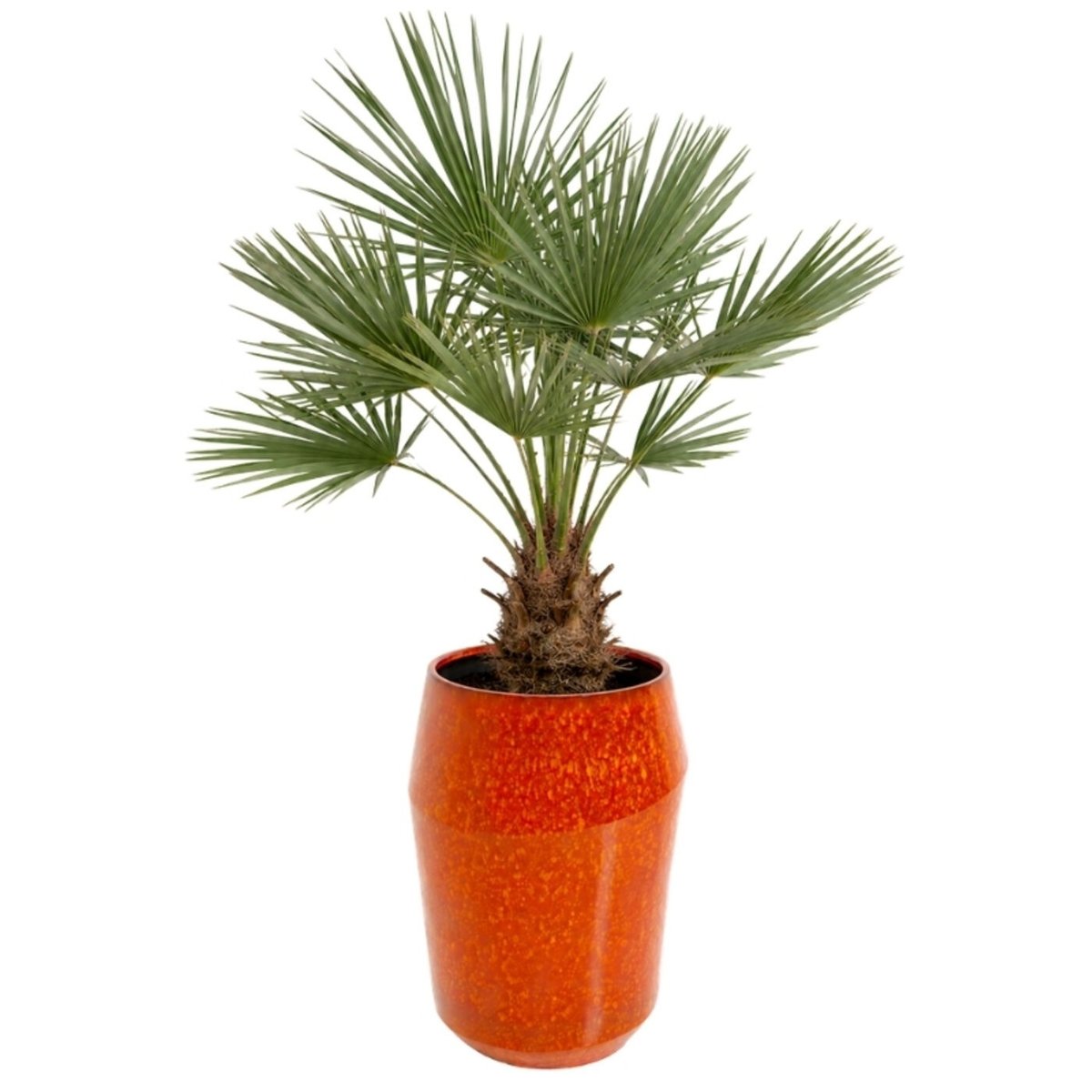 Vase en grès, CALI rouge, KARE DESIGN