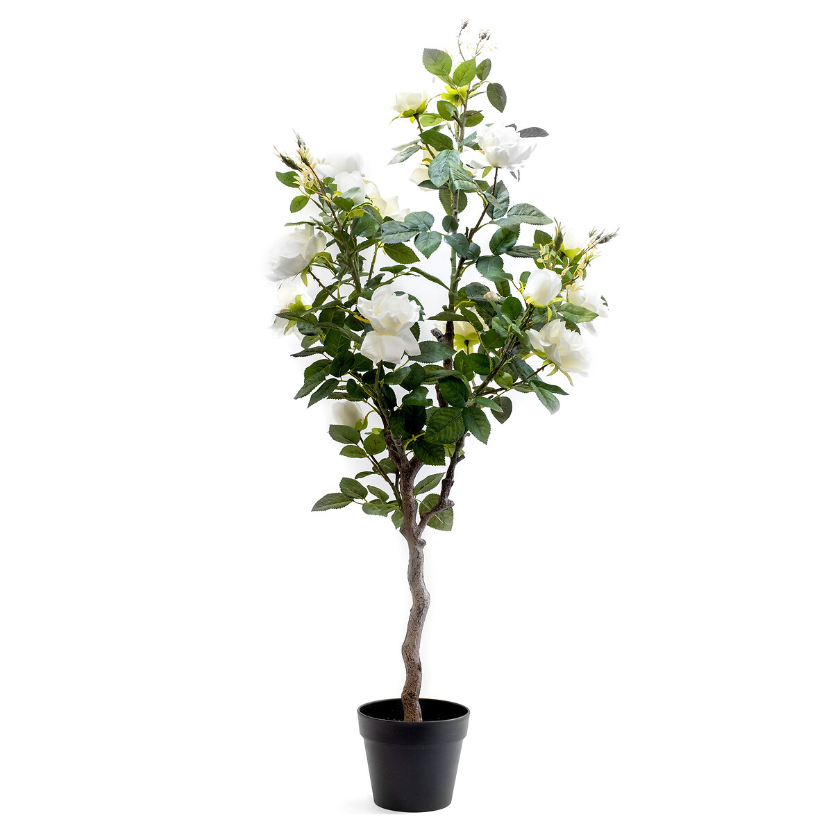126cm Rose Tree green, SO'HOME