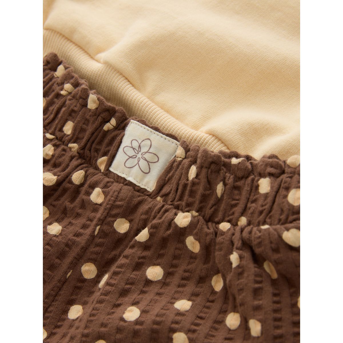 Ensemble short et sweat ras du cou ours brun chocolat, NEXT