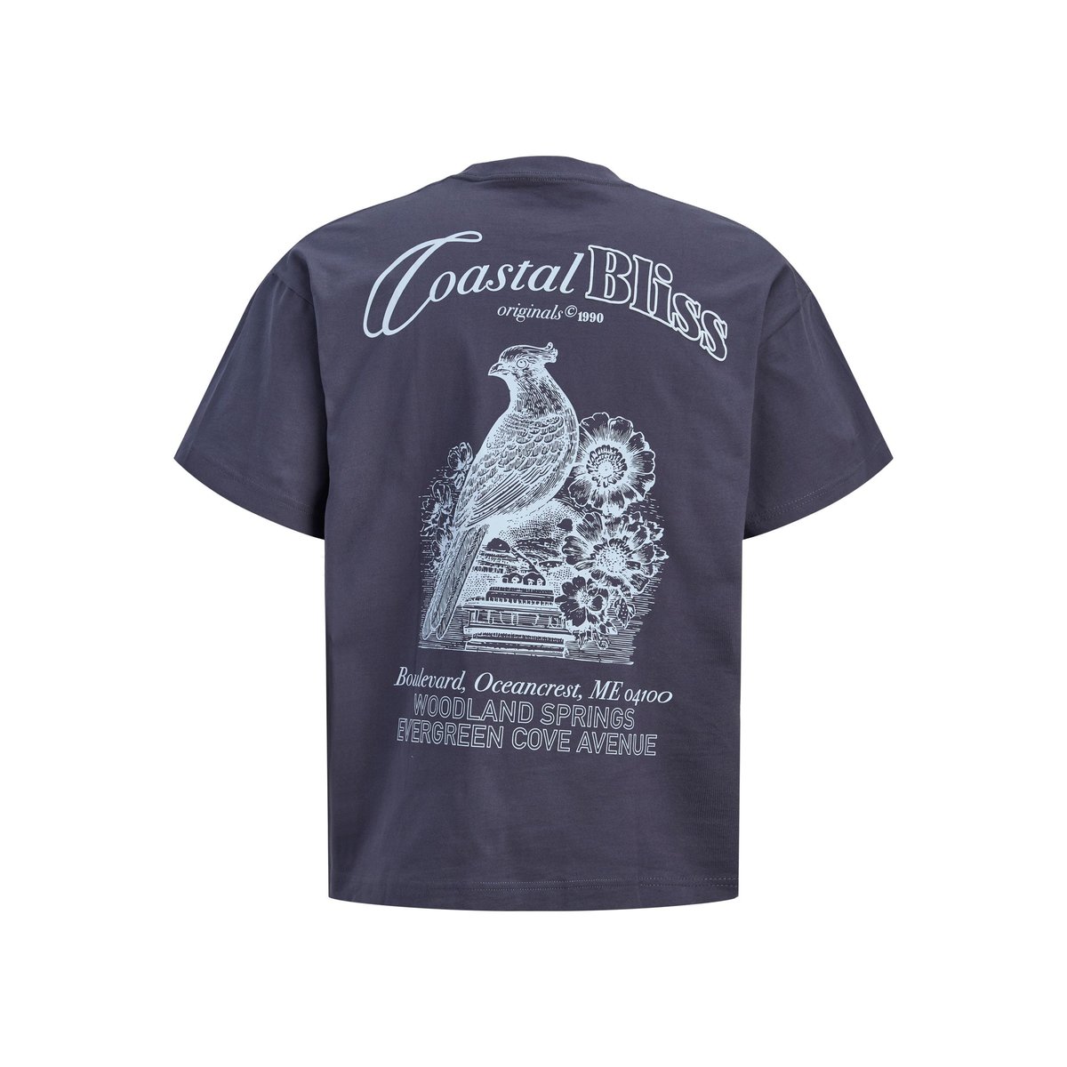T-Shirt odyssey gray, JACK & JONES