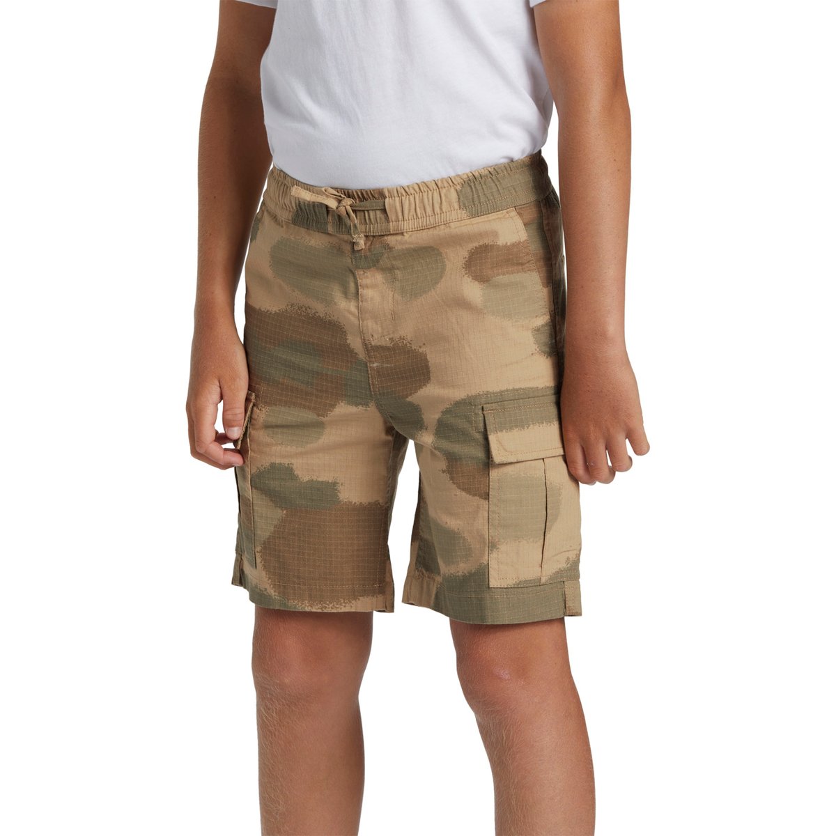 Short cargo TAXER CARGO vert camo taxer cargo, QUIKSILVER