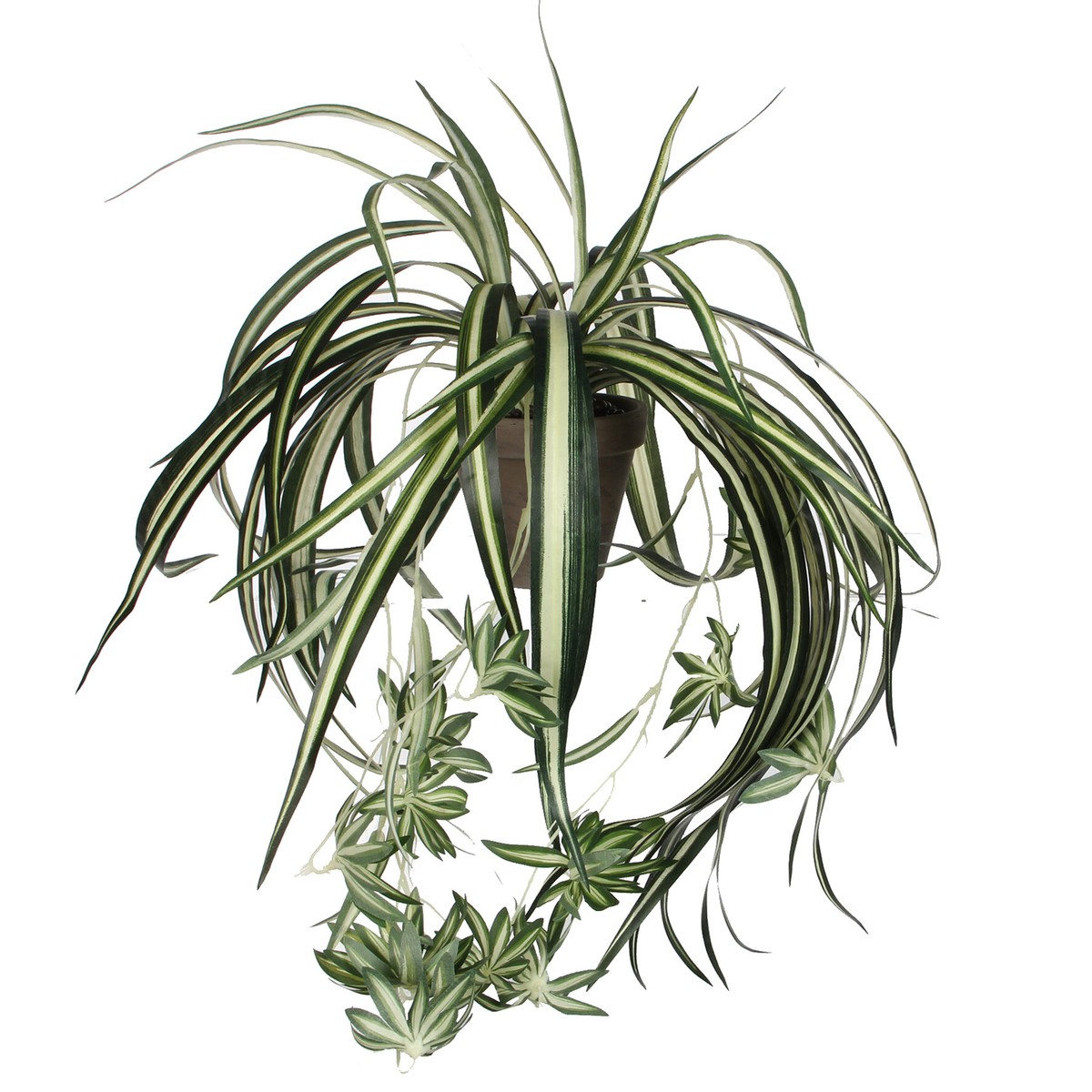 Plante artificielle CHLOROPHYTUM vert, MICA DECORATIONS
