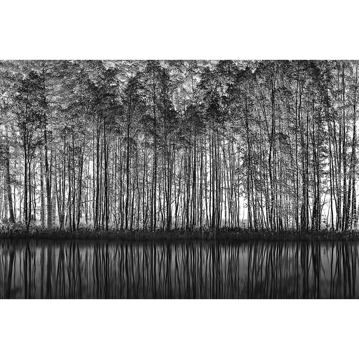 Tableau nature pointillisme tableau alu dibond, HEXOA