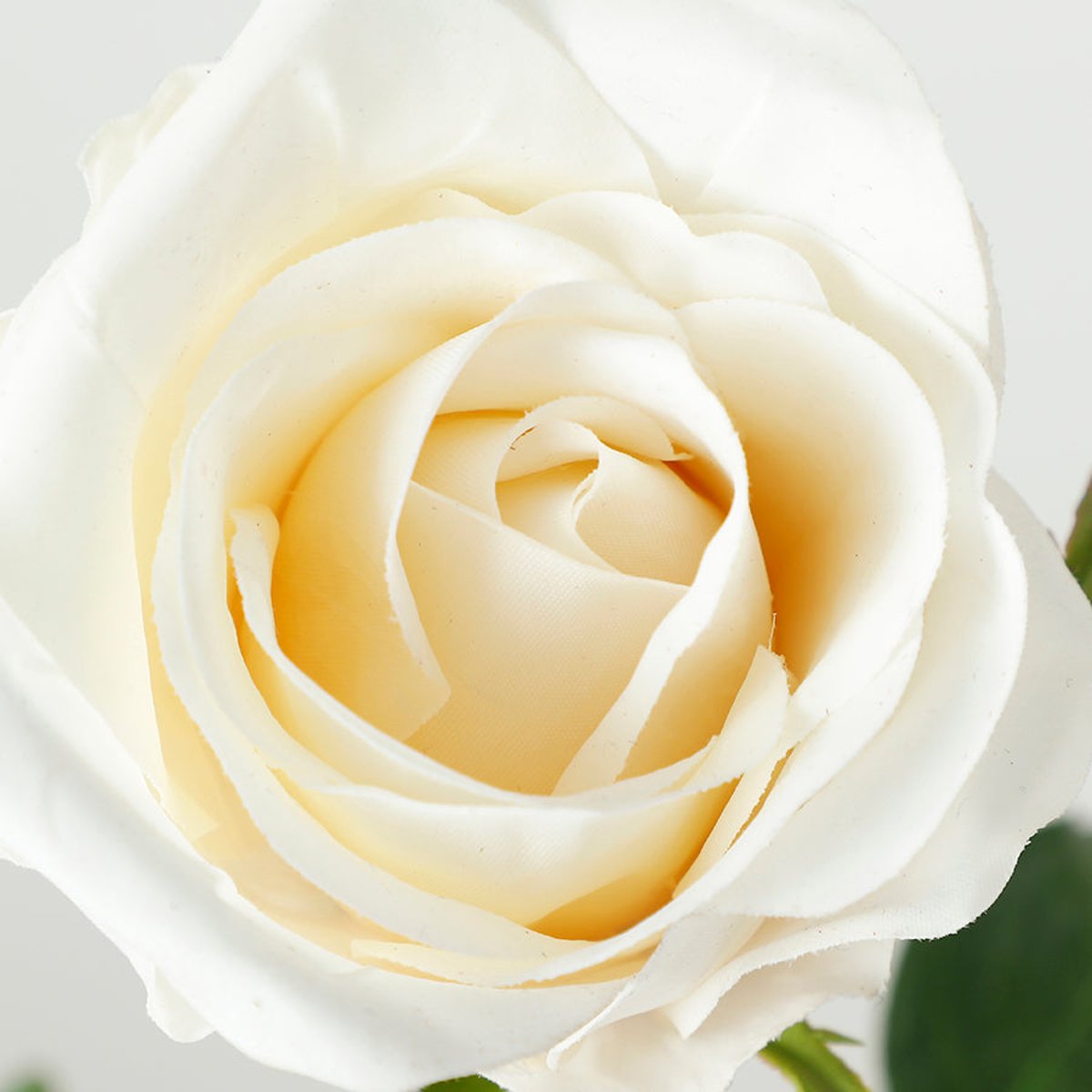 Tige de rose fermée avec feuilles artificielle H50 PREMIUM blanc, SIA DECO