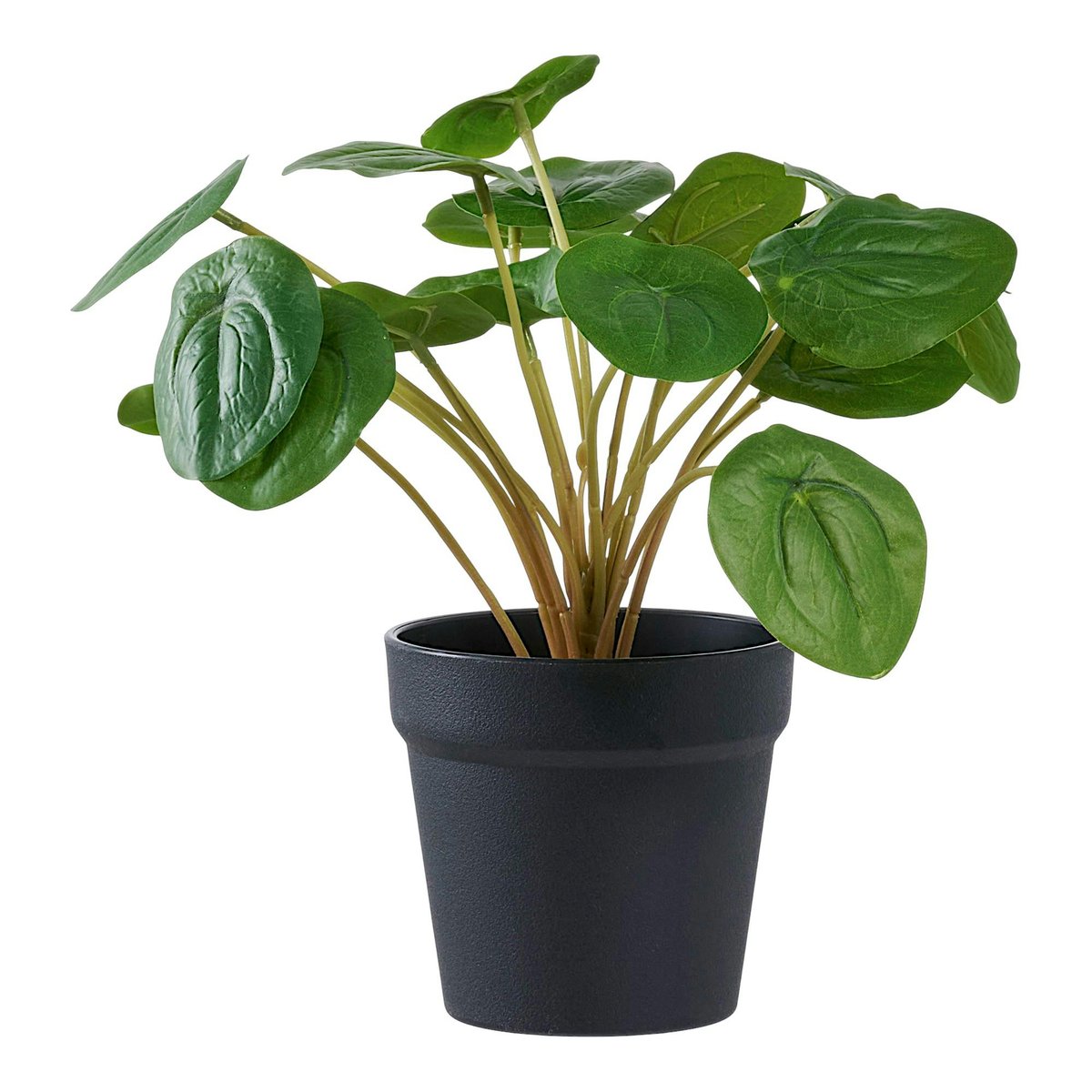 Plante artificielle pelia en pot vert, PIER IMPORT