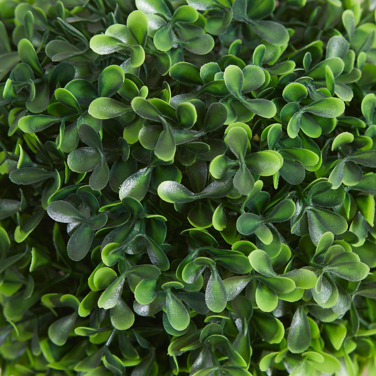 Topiaires artificielles PE Vert vert, HOMCOM