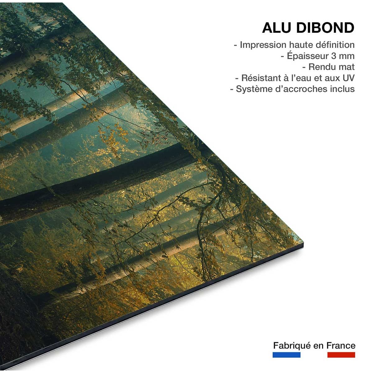Tableau sous-bois en octobre tableau alu dibond, HEXOA