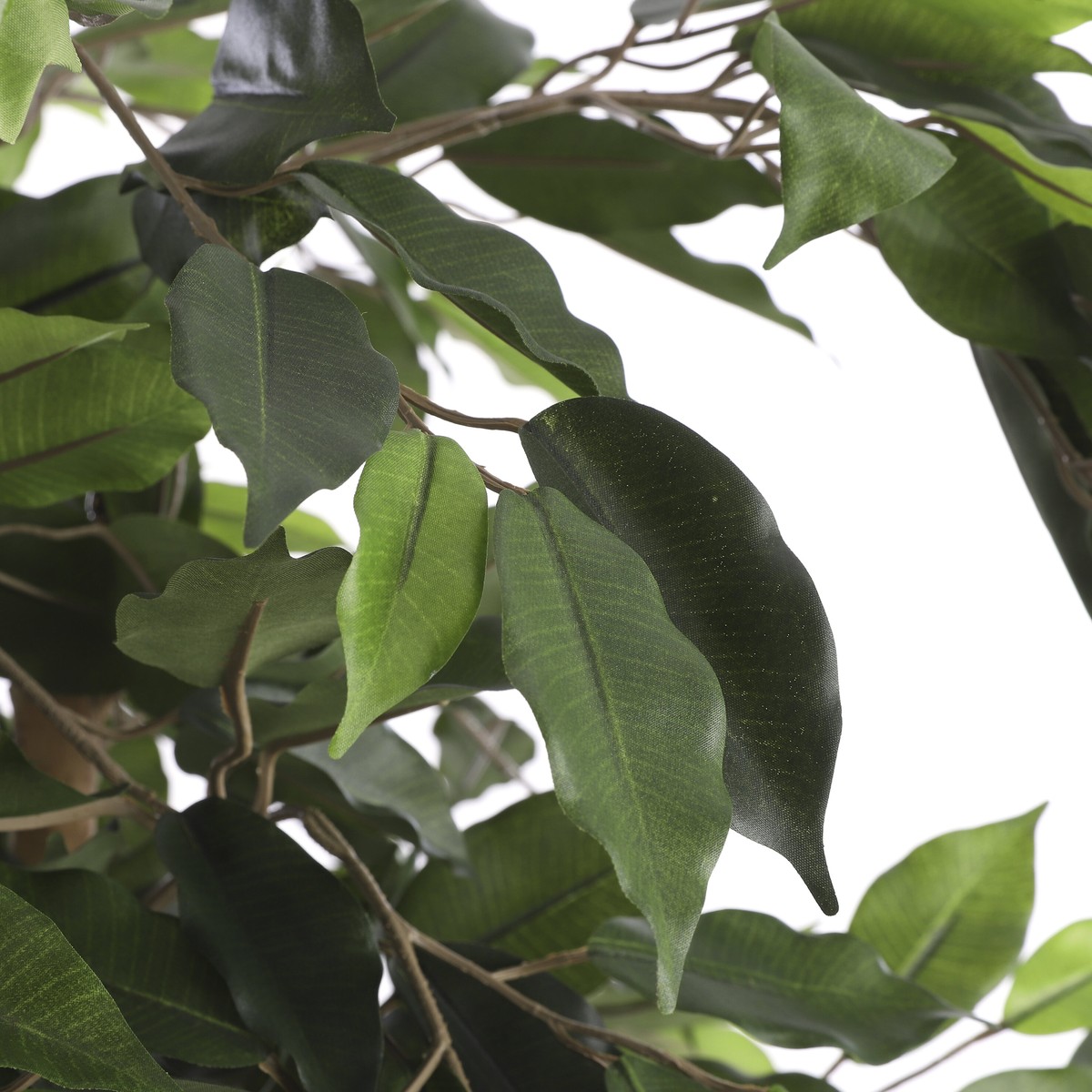 Plante artificielle FICUS vert, MICA DECORATIONS