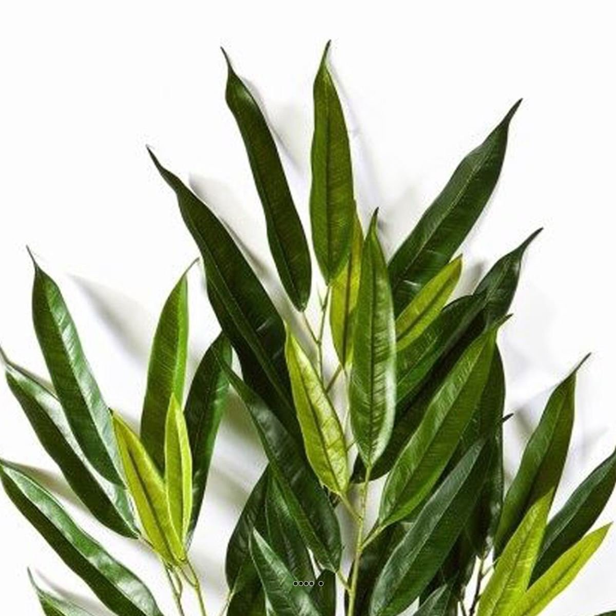 Superbe branche de longifolia royal v002239, ARTIFICIELLES