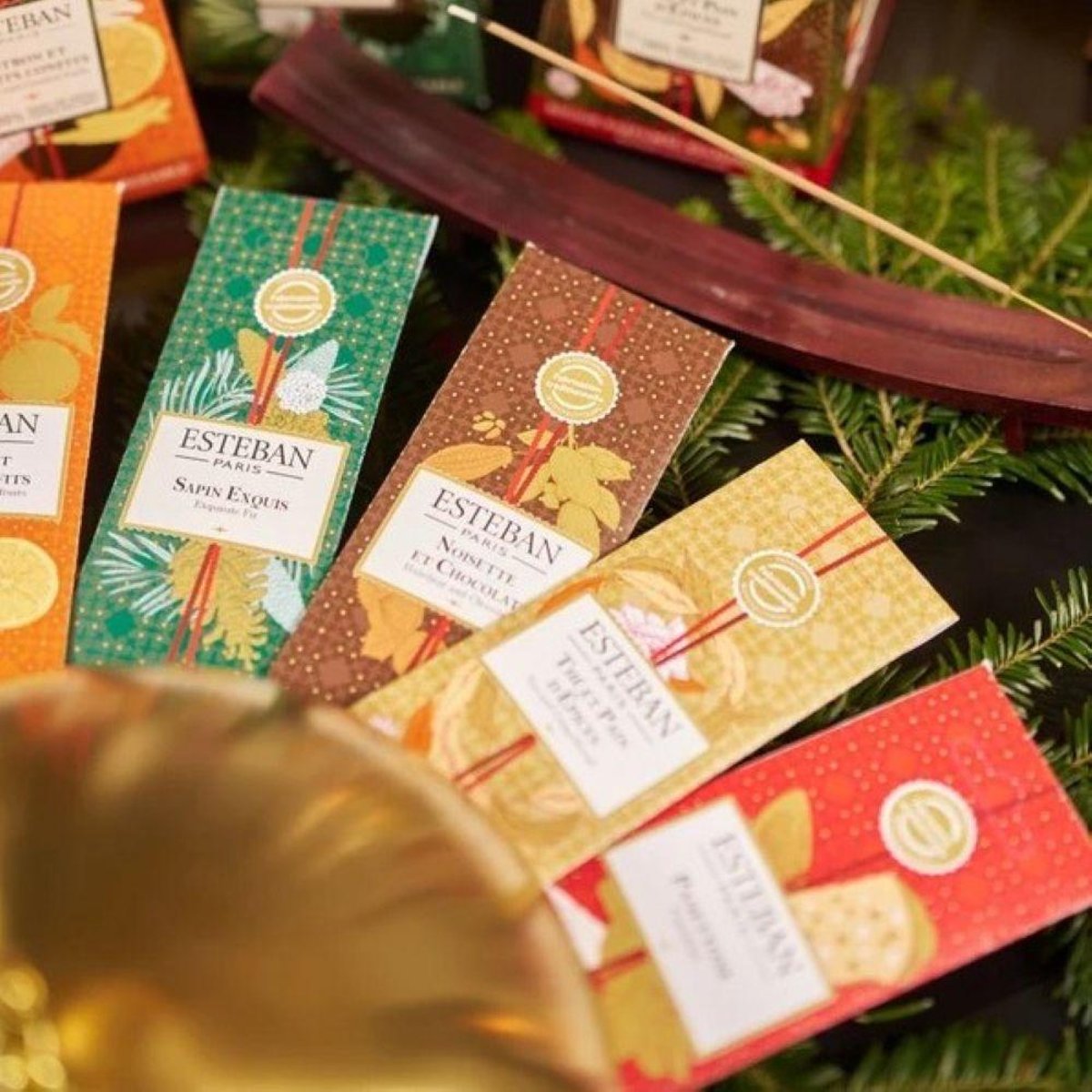 Parfum d'intérieur - Encens 20 bâtonnets Sapin exquis marron, ESTEBAN