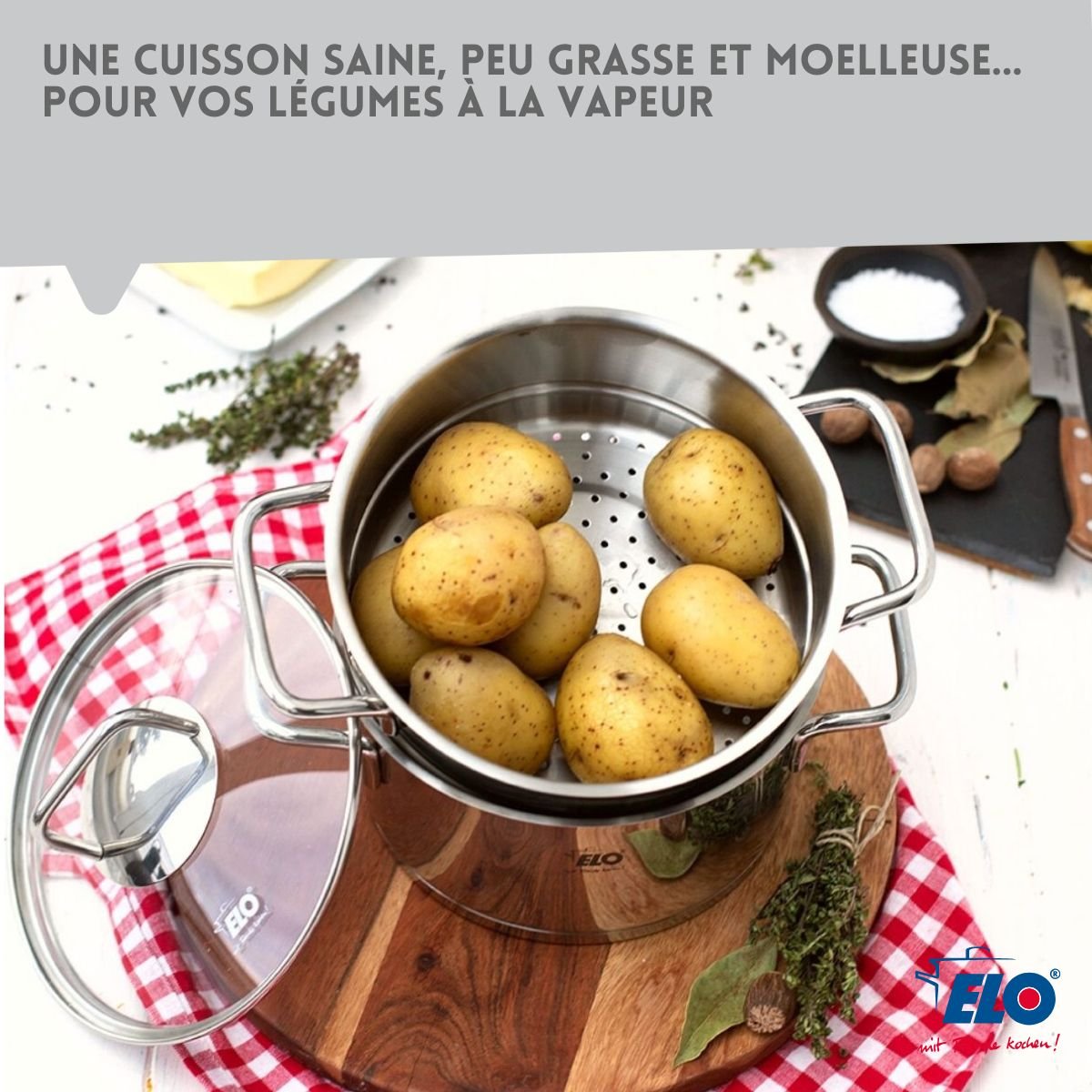 Cuiseur vapeur de 2 litres CITRIN gris, ELO
