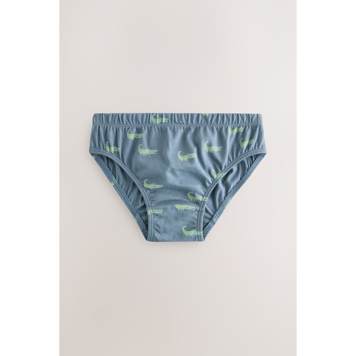 Slips, lot de 10 impression safari, NEXT