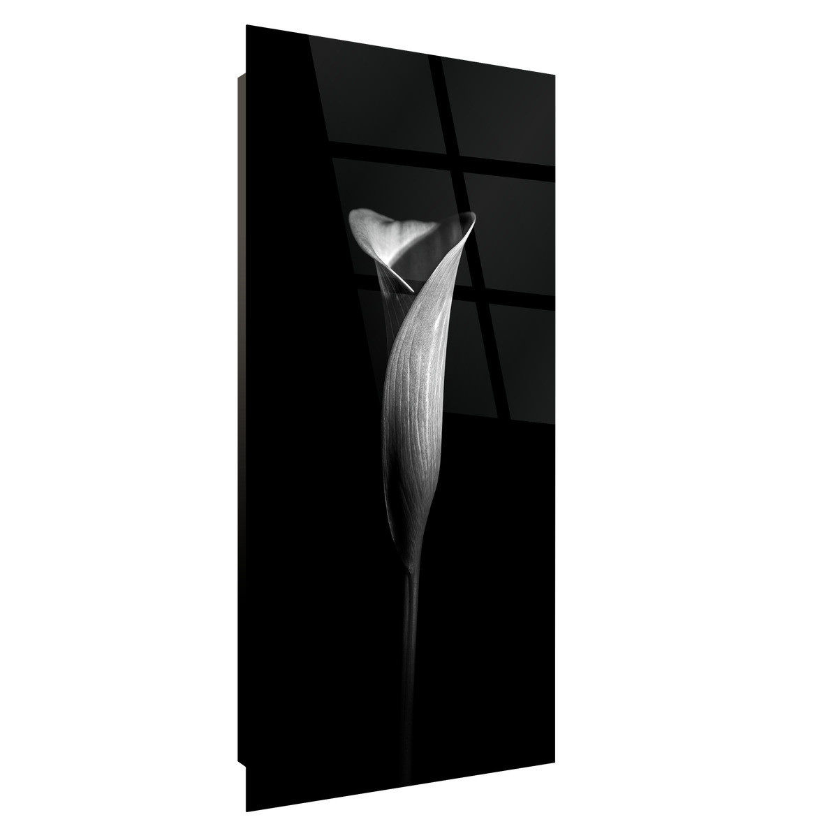 Tableau Sur Verre Synthétique Fleur Aromatique FLEUR tableau en verre synthétique, CEANOTHE