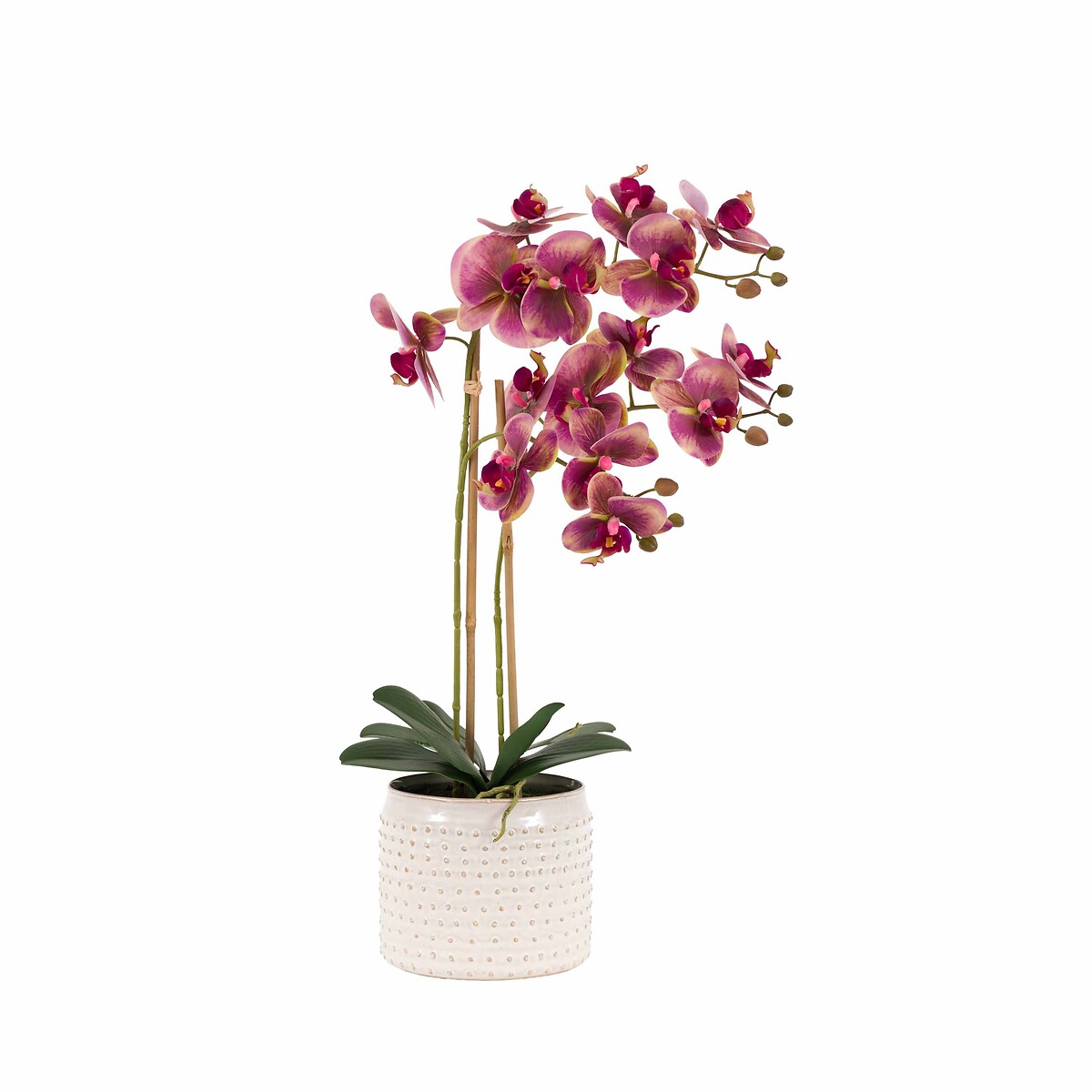 Orchid in Moss Ceramic Dot Pot brown , ÉDITÉ
