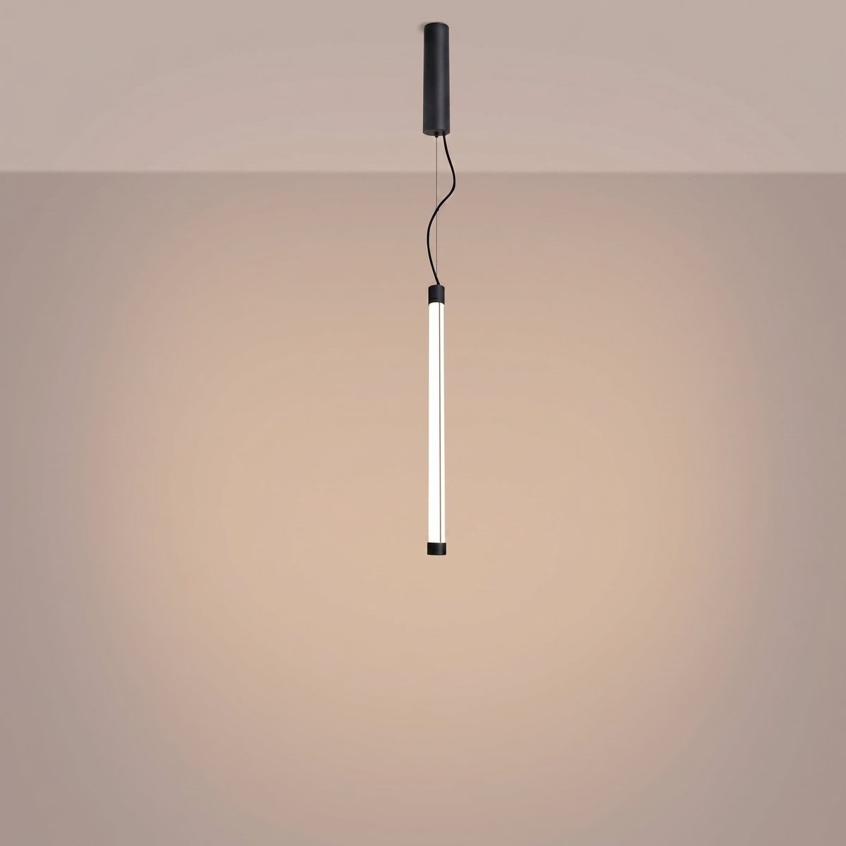 Suspension Acier Noir LED 1 Trang noir, EDEN