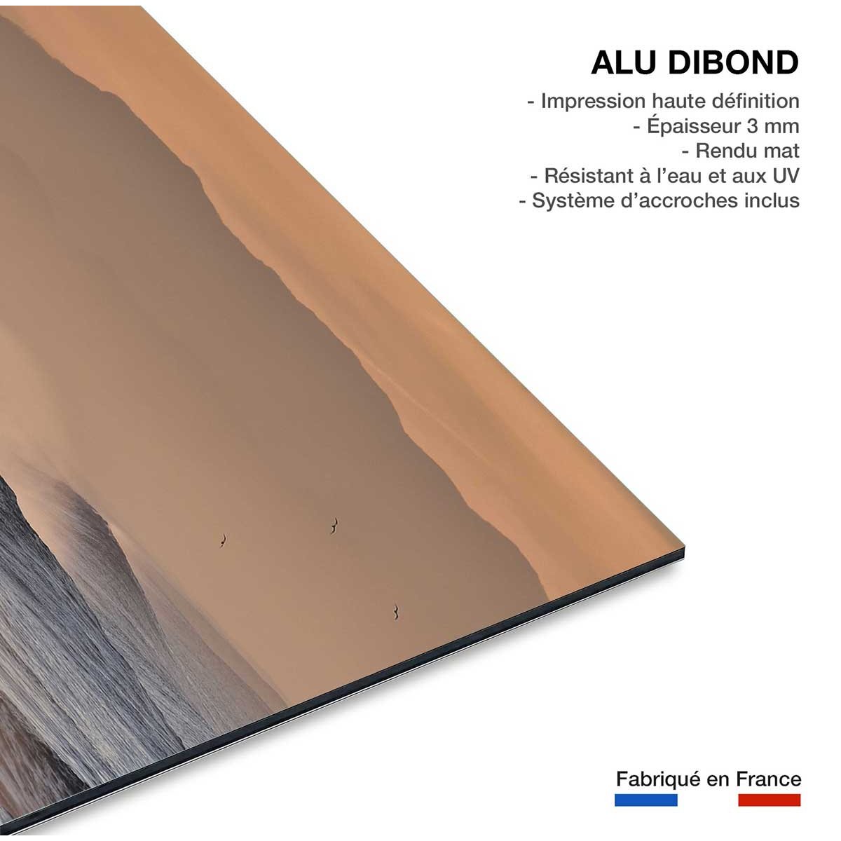 Tableau plage hossegor mouettes au pic tableau alu dibond, HEXOA
