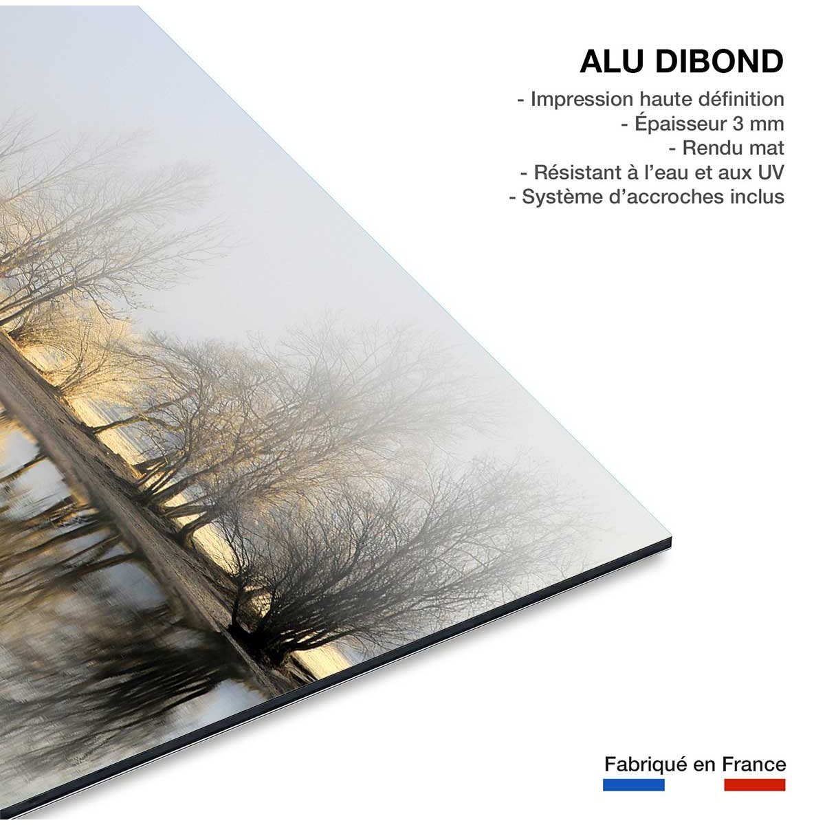 Tableau paysage Une journee de janvier tableau alu dibond, HEXOA