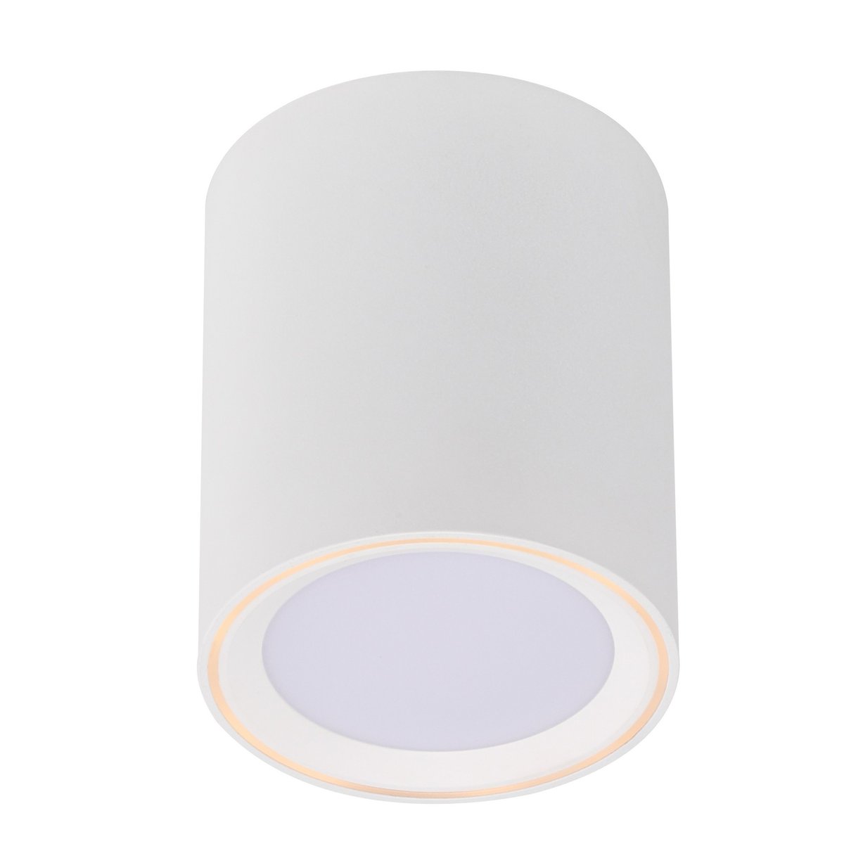 Spot LED pour plafond - gradation Moodmaker™ cylindrique en métal, FALLON blanc, NORDLUX