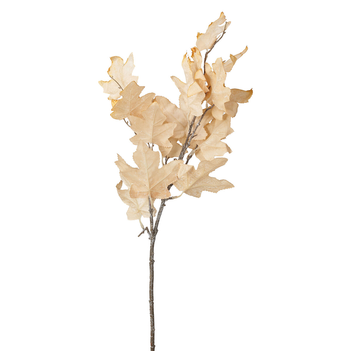 Natural Apricot Dried Flower Bunch natural, ÉDITÉ