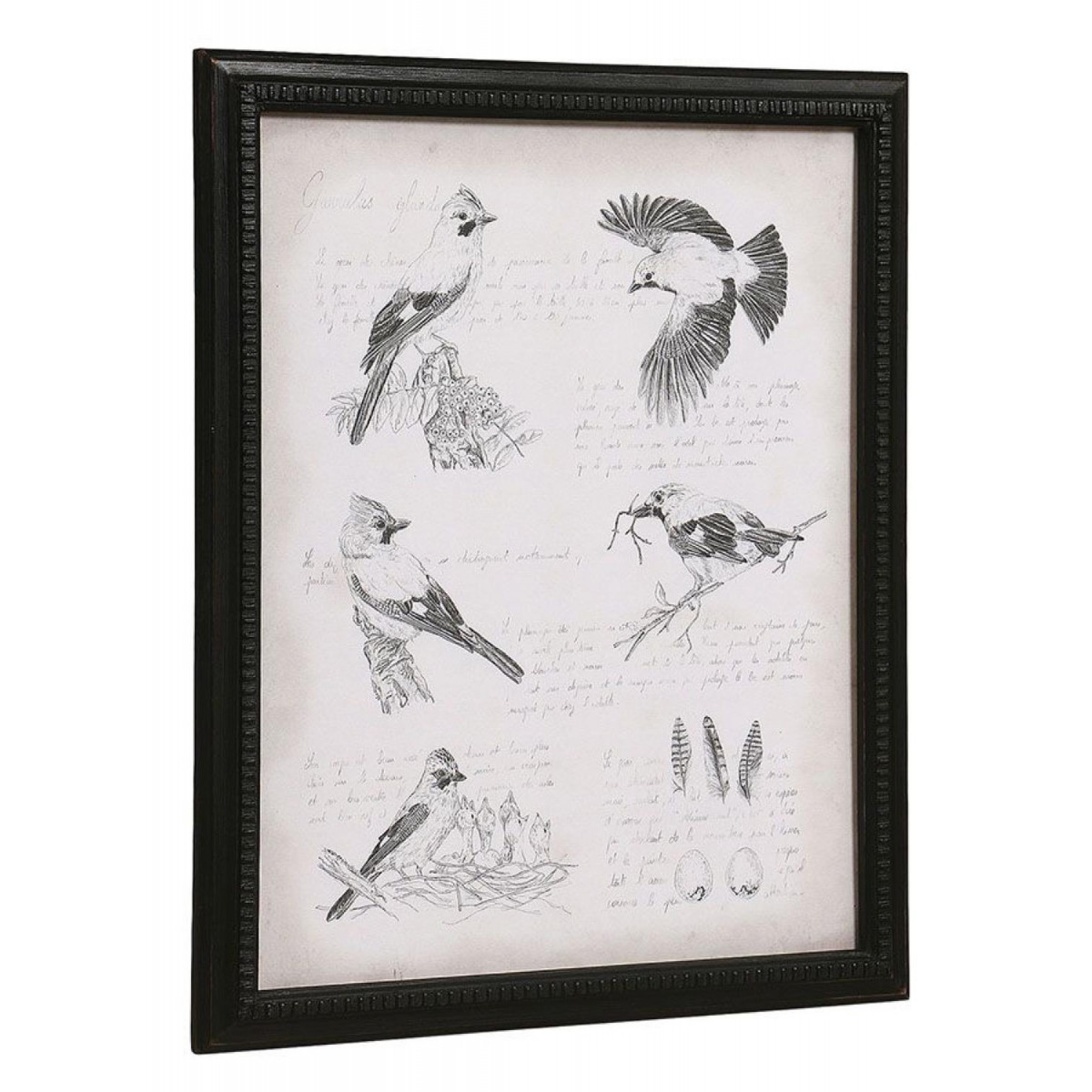 Gravure ancienne - CHIC noir, INTERIOR'S
