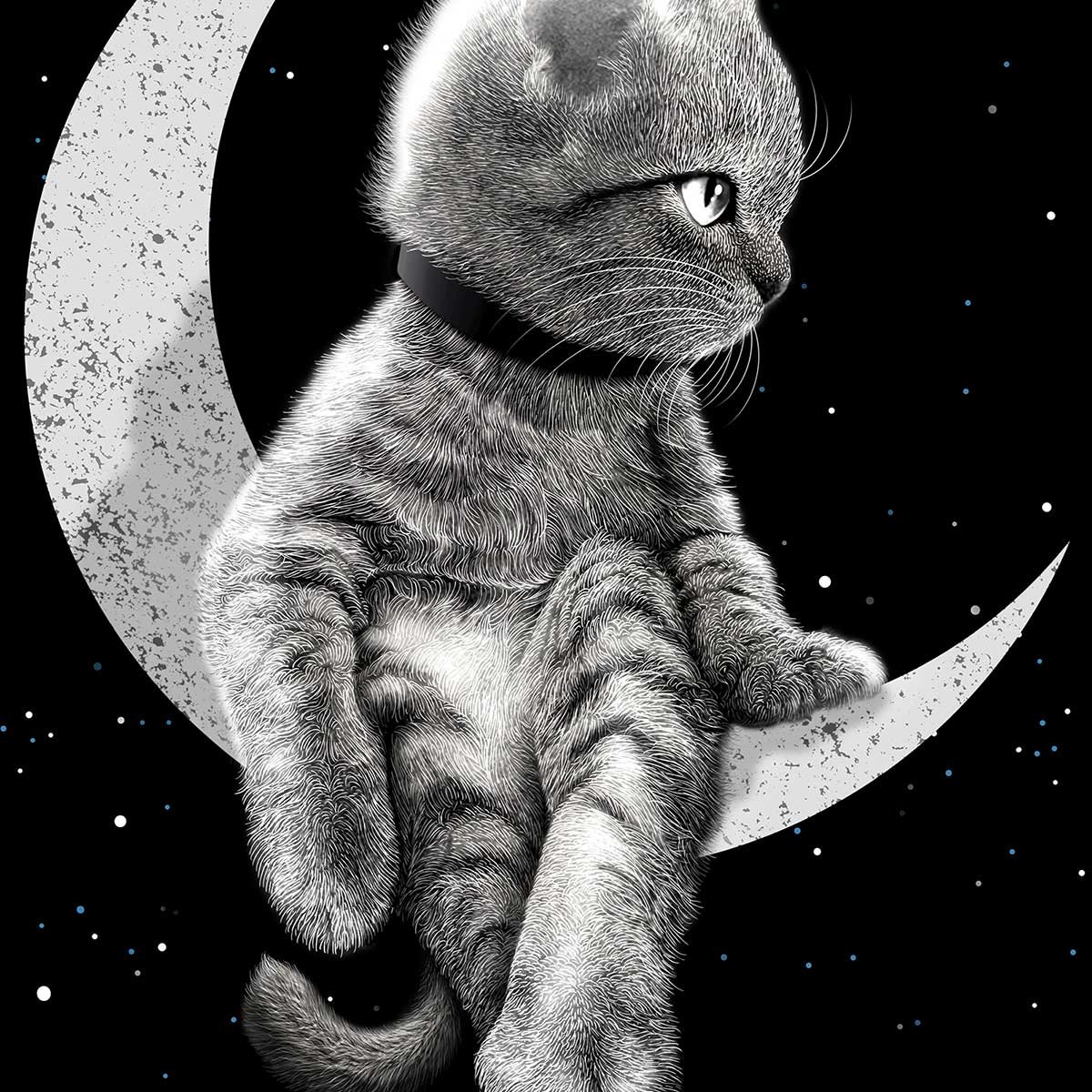 Affiche enfant chat rêveur affiche seule, HEXOA