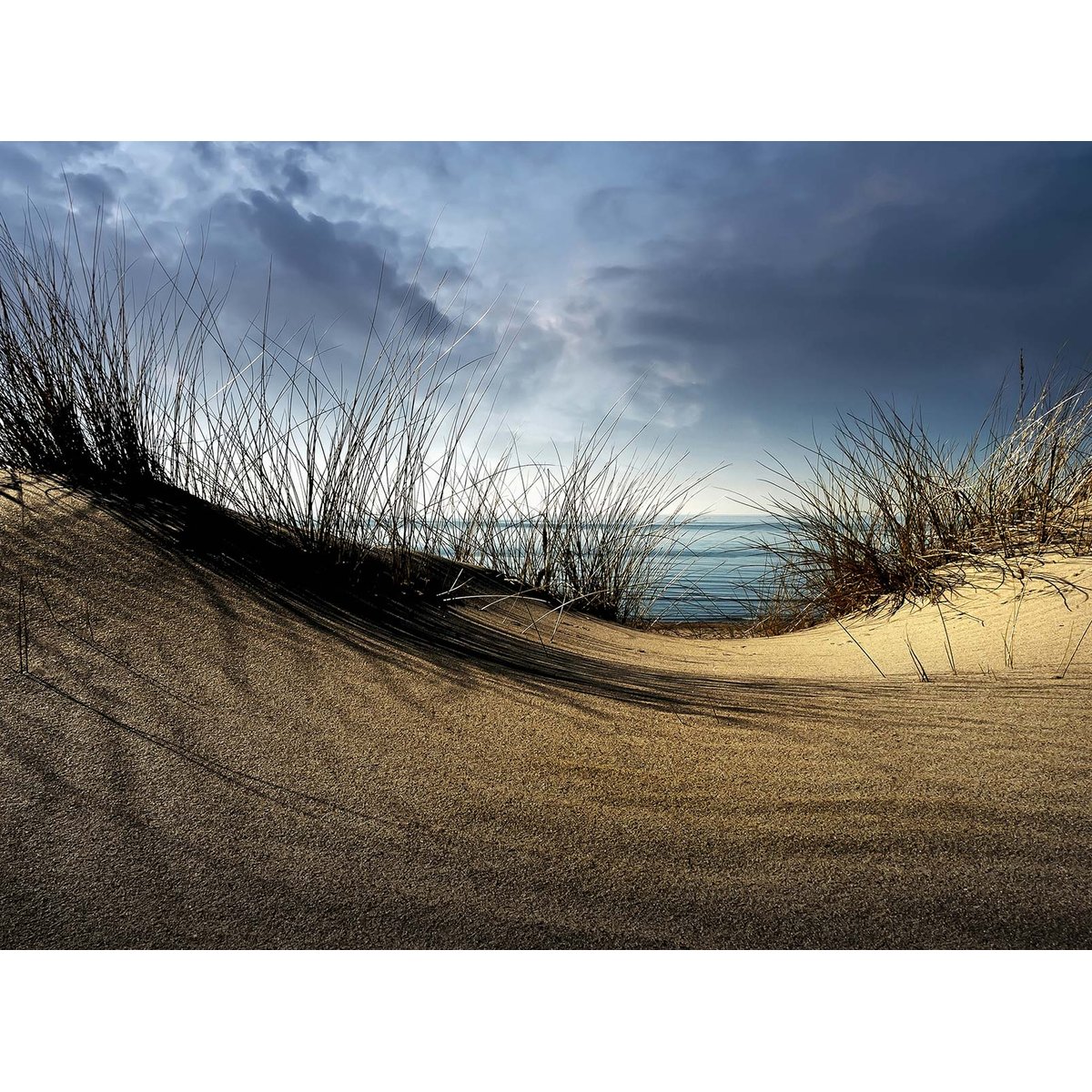 Papier peint panoramique en haut de la dune intissé, HEXOA