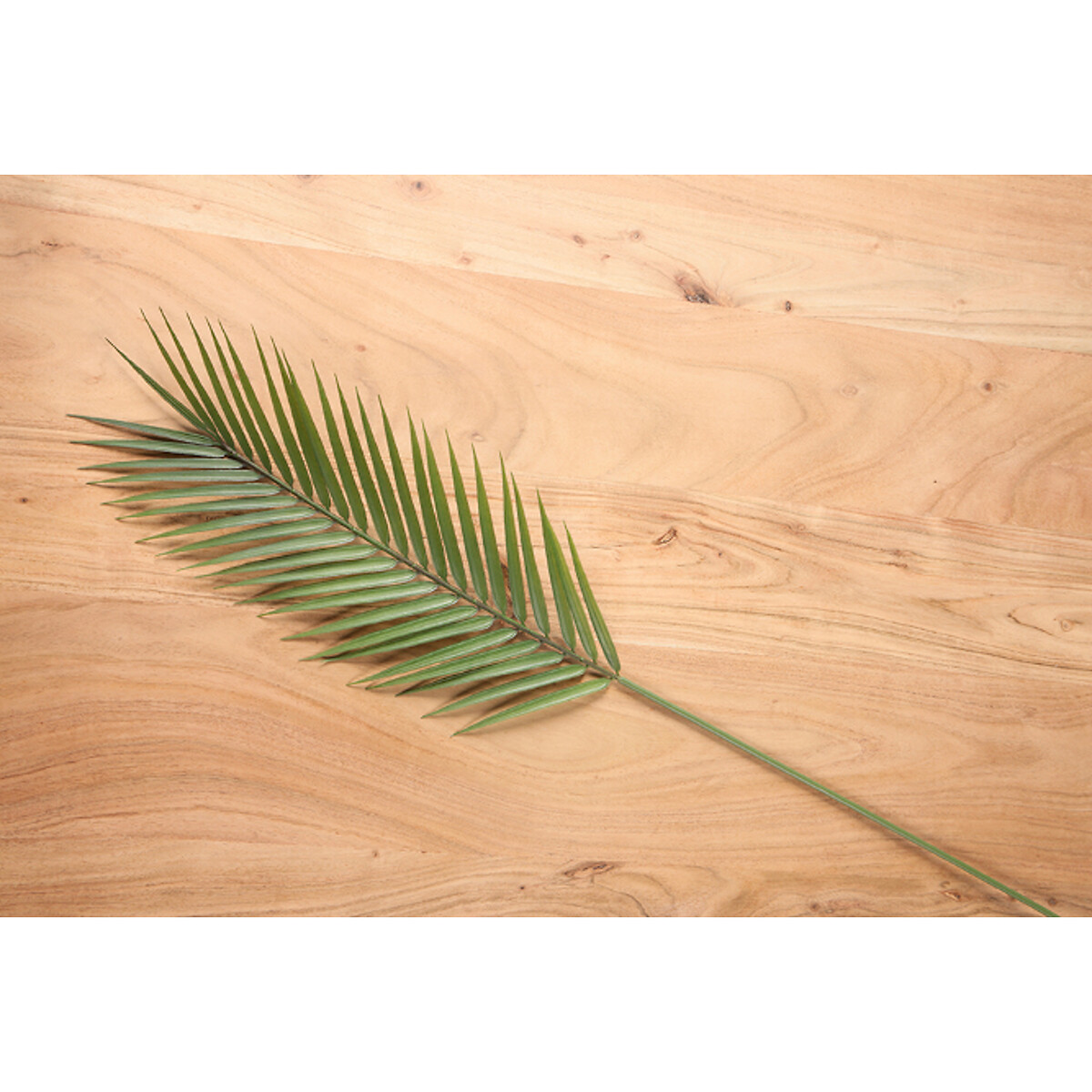 Pack of 3 Artificial Palm Leaf Stems green, SO'HOME