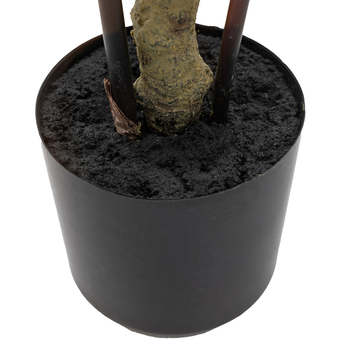 4ft Potted Bamboo Tree green, ÉDITÉ