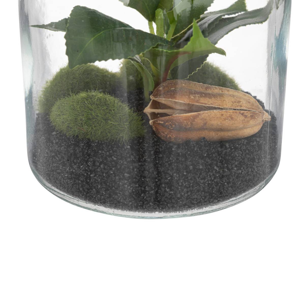 Terrarium décoratif en verre avec plante artificielle vert, ATMOSPHERA