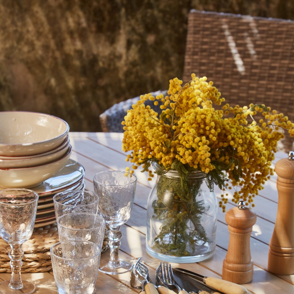 Salon de jardin, 8 chaises, SIENA & BOLONIA bois clair, brun, DEFORA HOME