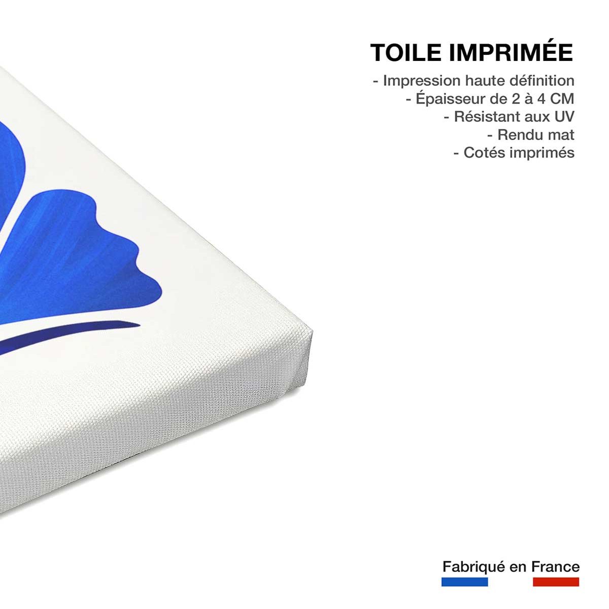 Tableau fleurs amie des fleurs toile imprimée, HEXOA