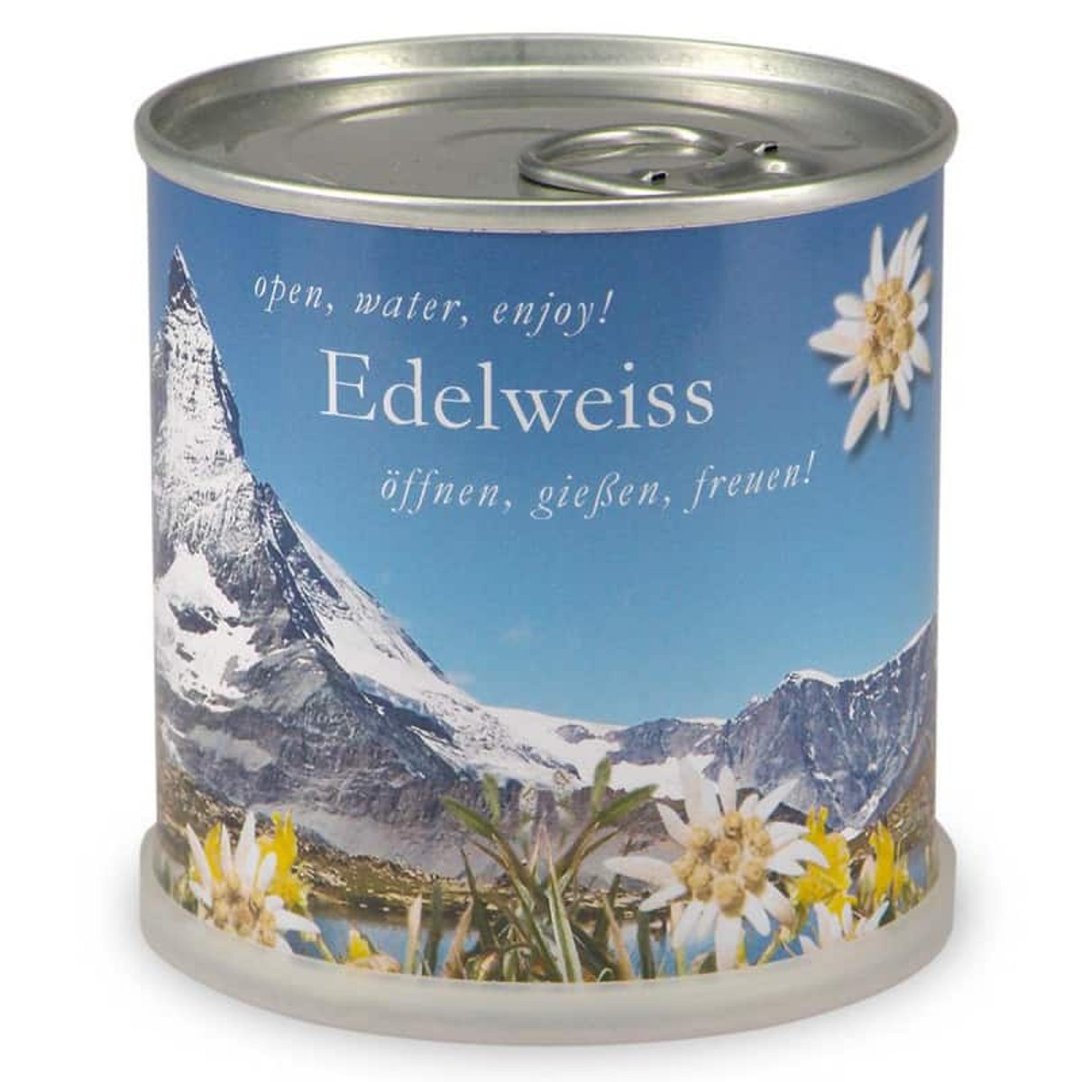 Edelweiss à faire pousser en boite couleur unique, MAC FLOWERS