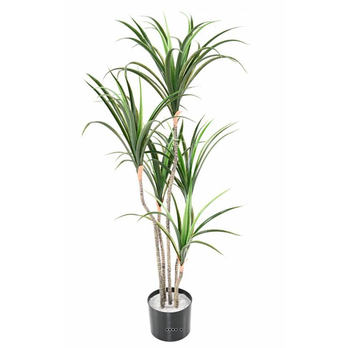 Dracaena marginata artificiel en pot H 130 cm v002239, ARTIFICIELLES