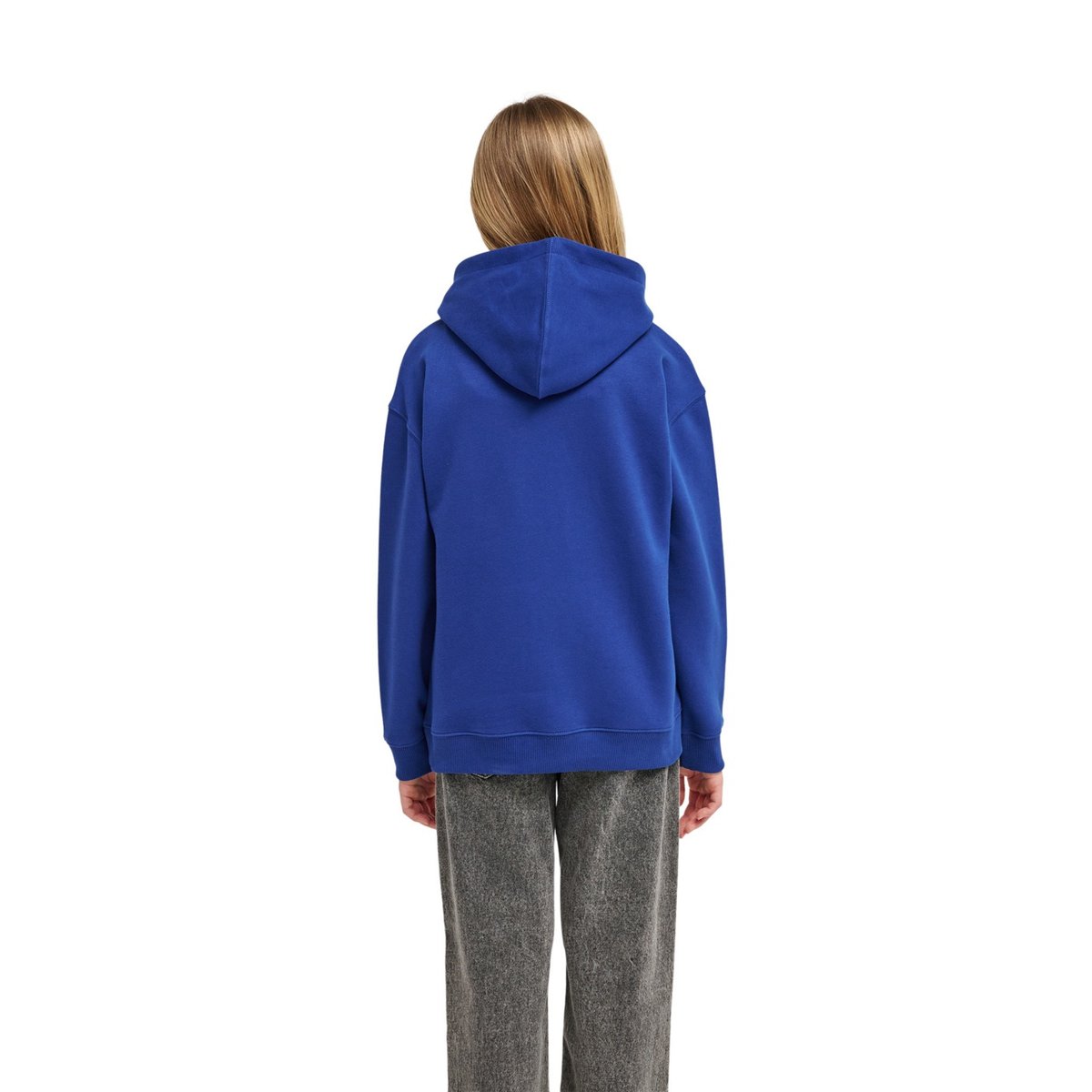 Sweat capuche TIMBER CARRY bleu bellweather blue, ELEMENT