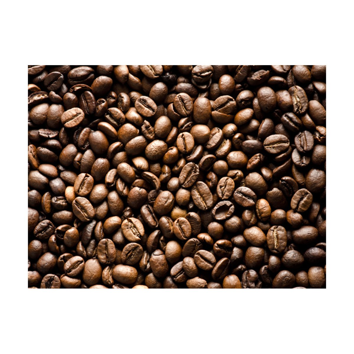 Papier peint intissé panoramique Motifs de cuisine Roasted coffee beans multicouleur, EDEN