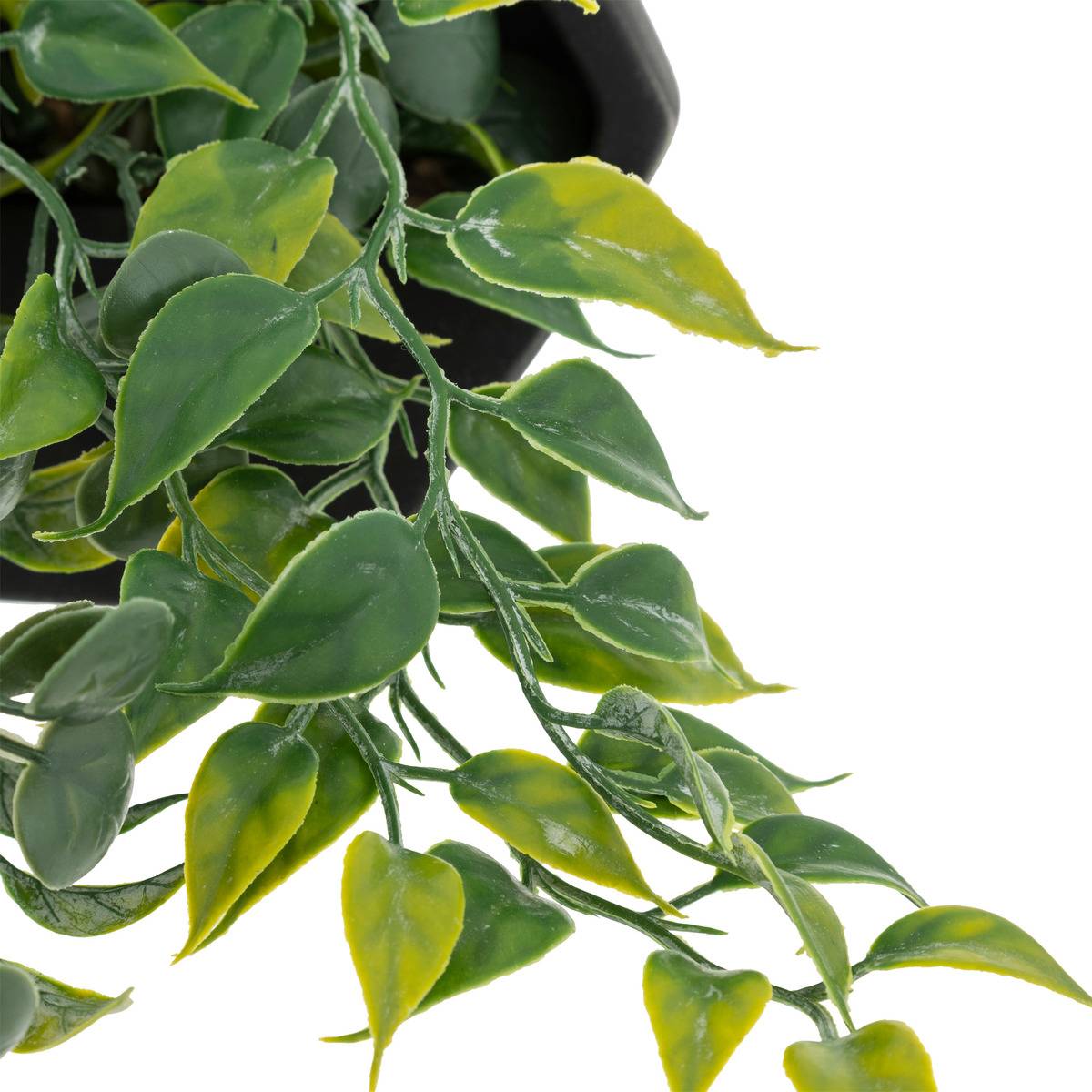 Plante artificielle suspendue AYAME noir, ATMOSPHERA