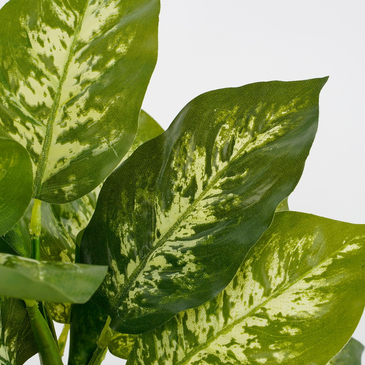 Plante artificielle DIEFFENBACHIA vert, MICA DECORATIONS