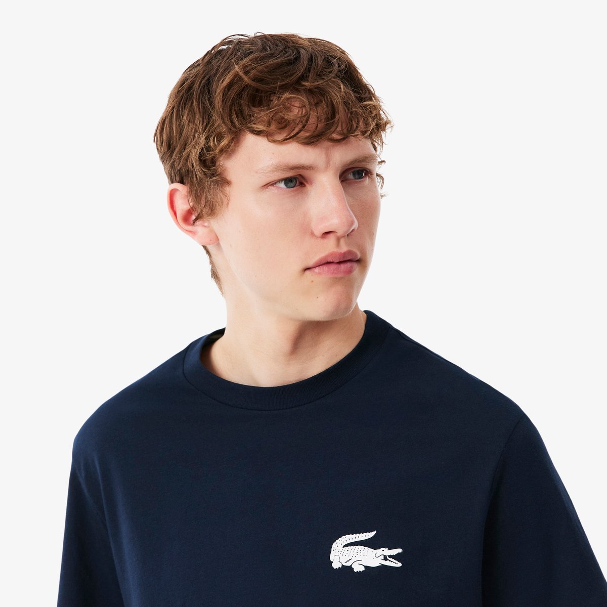T-shirt d'intérieur coton imprimé crocodile bleu-525, LACOSTE