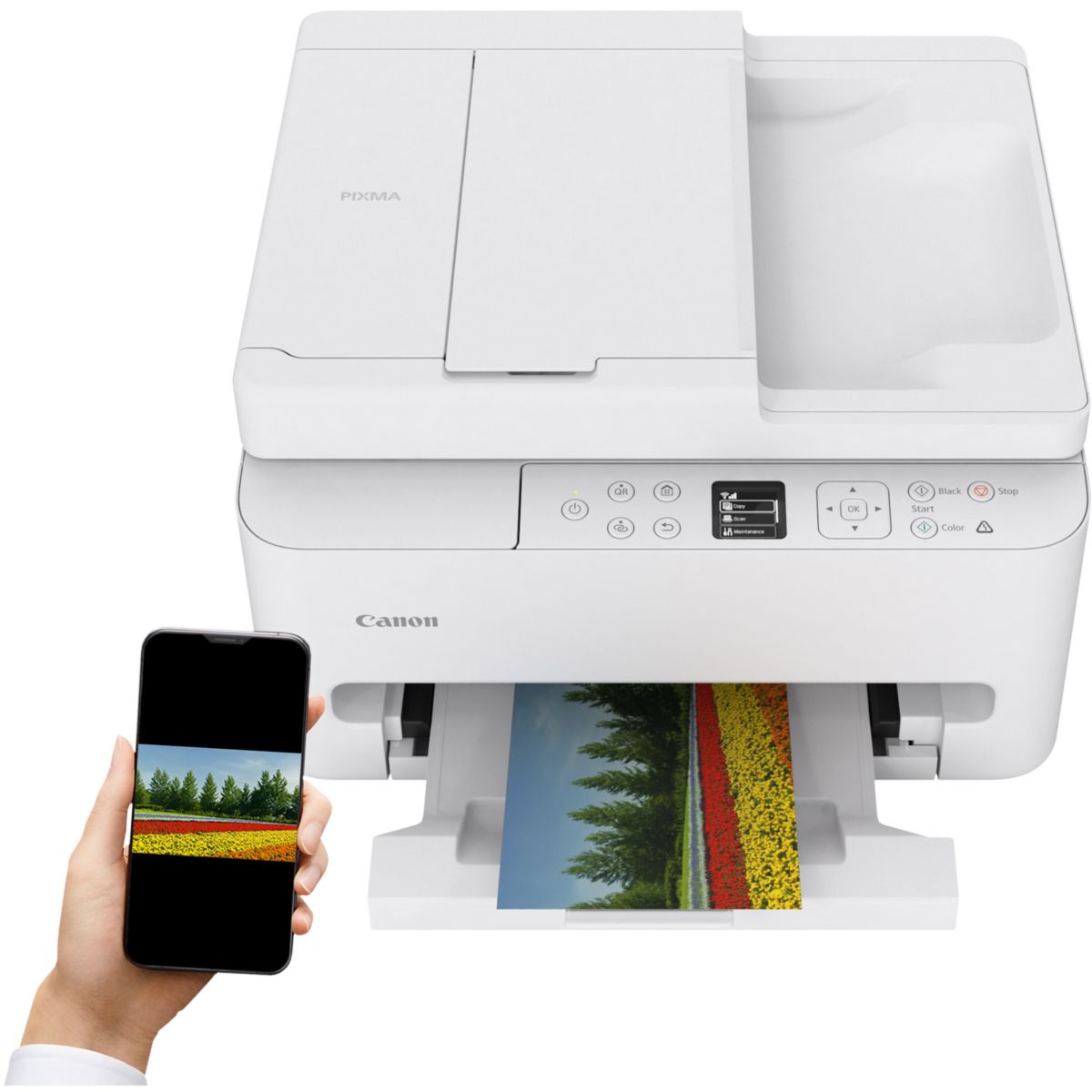 Imprimante jet d'encre PIXMA TS7550i WH couleur unique, CANON