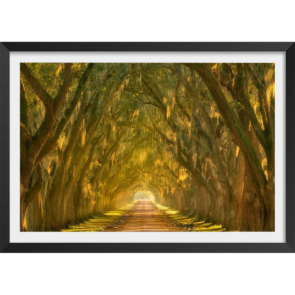 Affiche ""Allee enchanteresse"" affiche + cadre en bois - noir, HEXOA