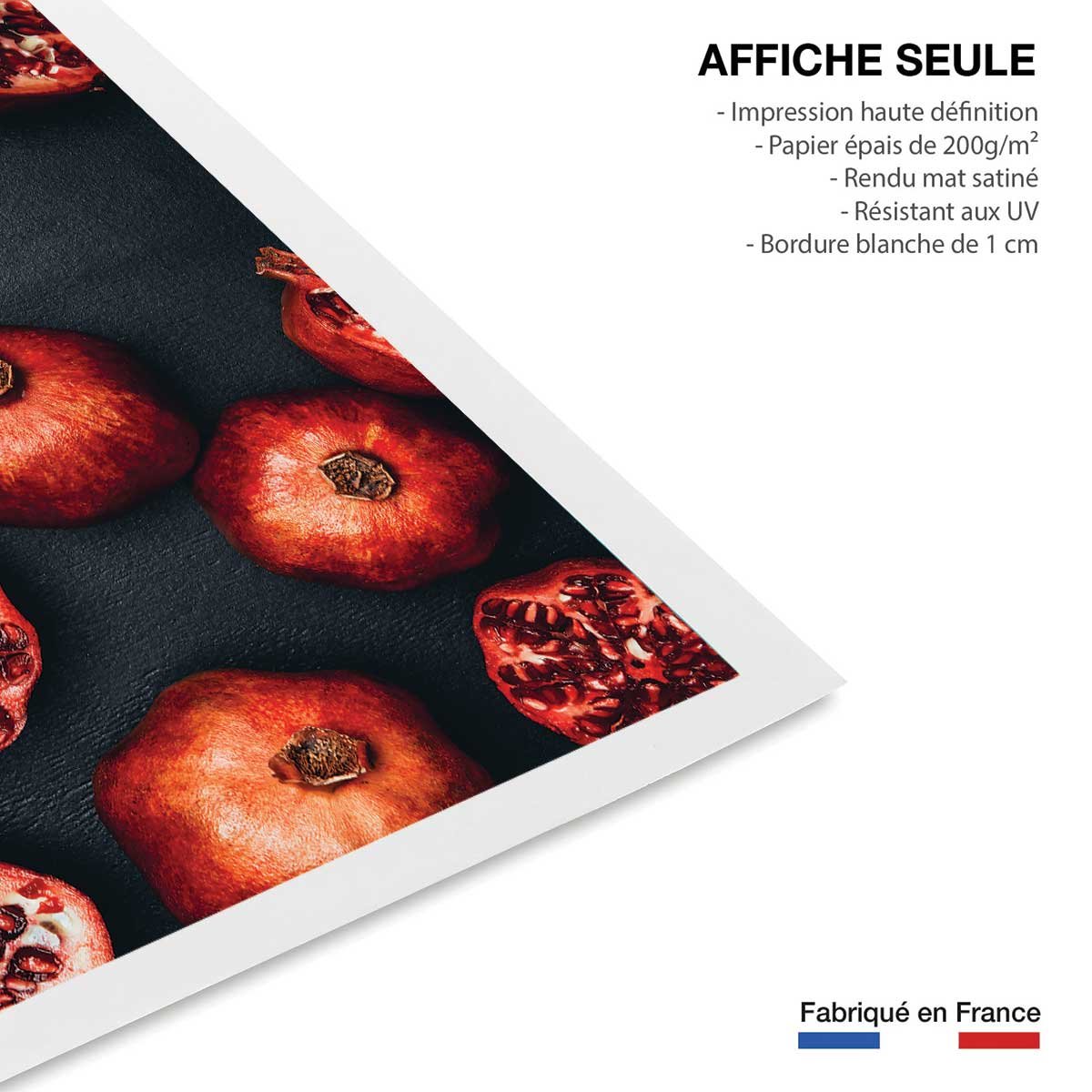 Affiche collection gros plan sur la grenade affiche seule, HEXOA