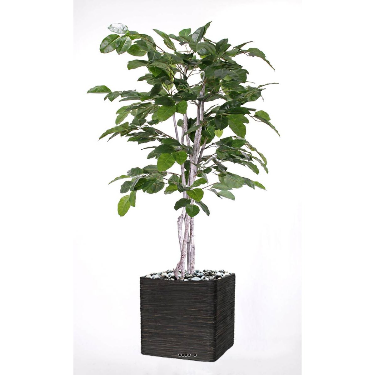 Figuier des Banyans artificiel 180 cm vert, ARTIFICIELLES