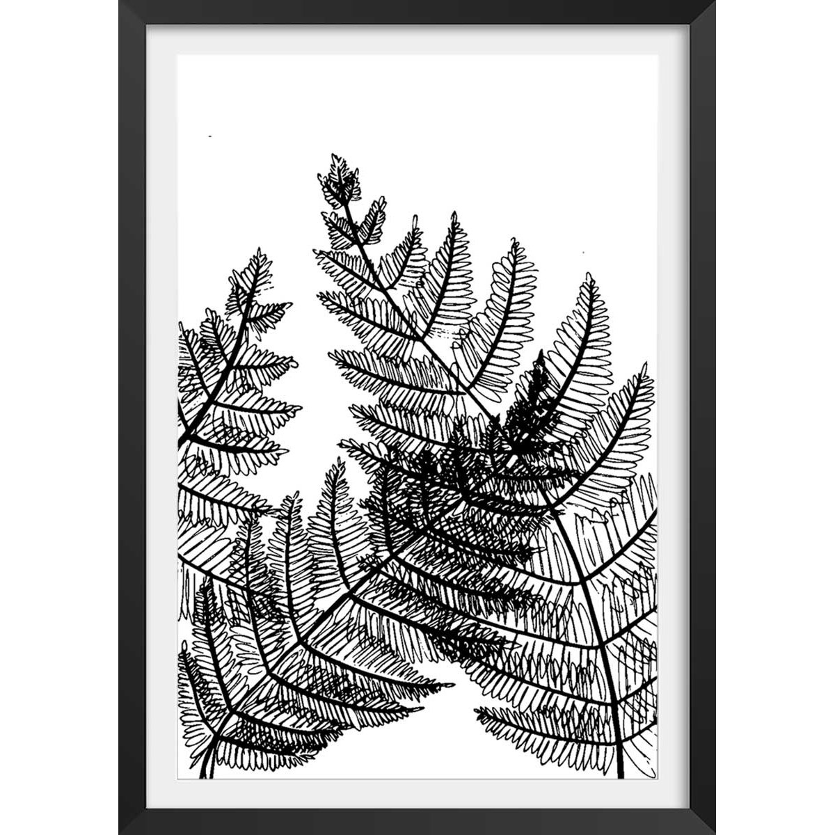 Poster landes fougères affiche + cadre en bois - noir, HEXOA