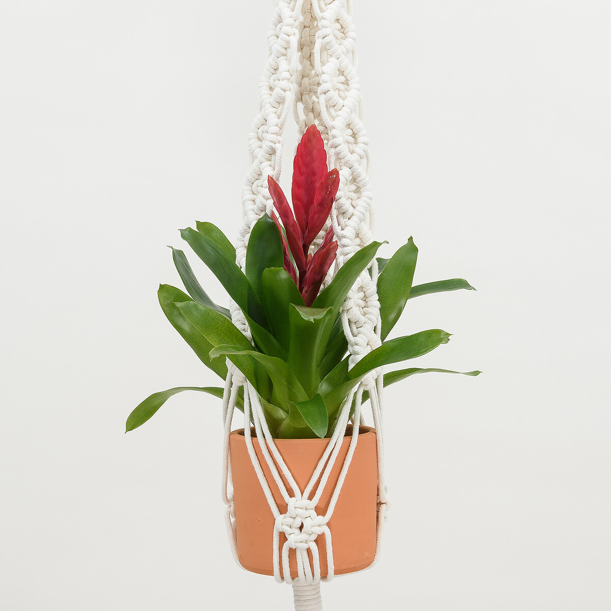 Plant Hanger Serenidade, Klumba branco, KLUMBA