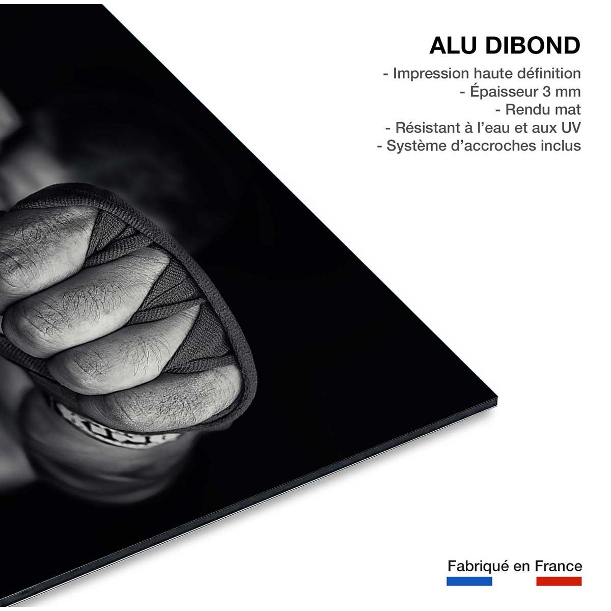Tableau boxe left wing tableau alu dibond, HEXOA