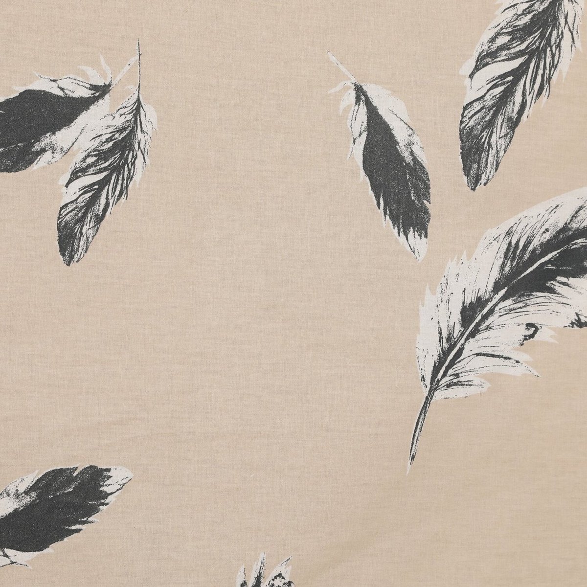 Parure housse de couette coton imprimée plumes, Feather multicolore, C DESIGN HOME TEXTILE
