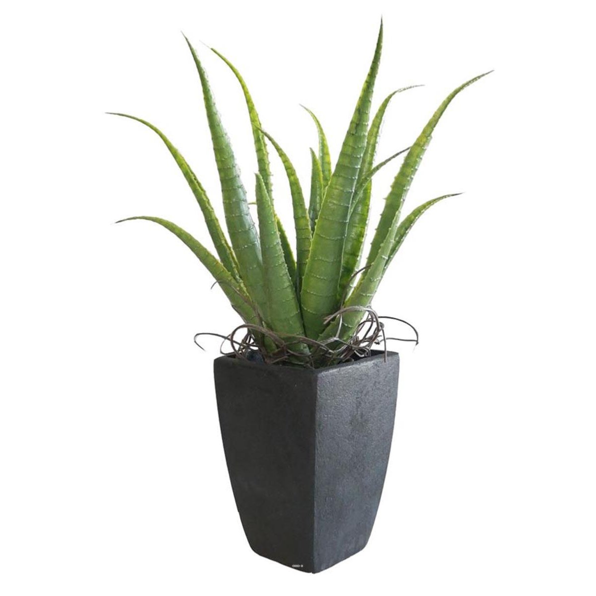Agave Succulente plante artificielle cactée vert, ARTIFICIELLES