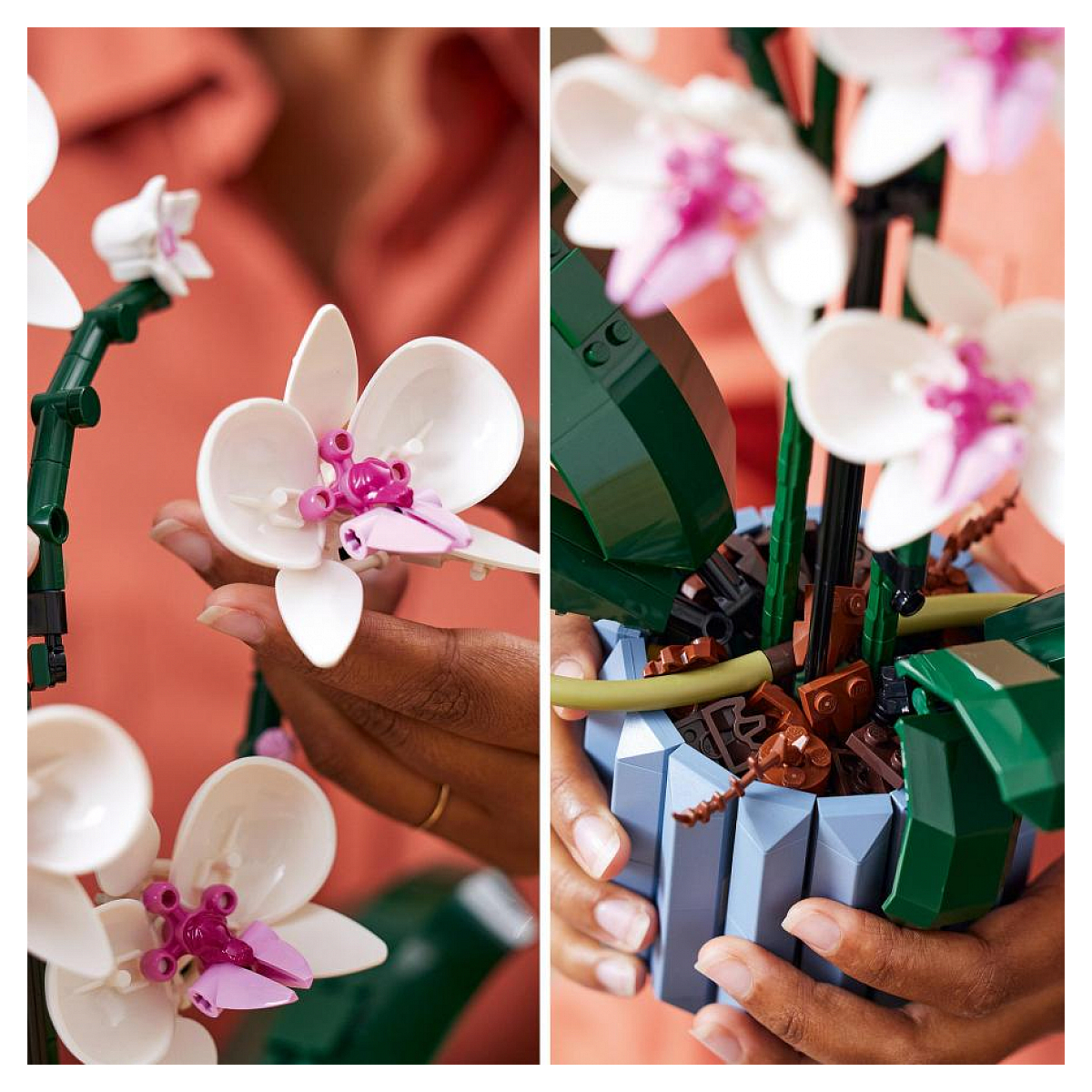 LEGO Botanicals - LEGO Creator - L'orchidée - 10311 blanc, rose, bleu, marron, LEGO