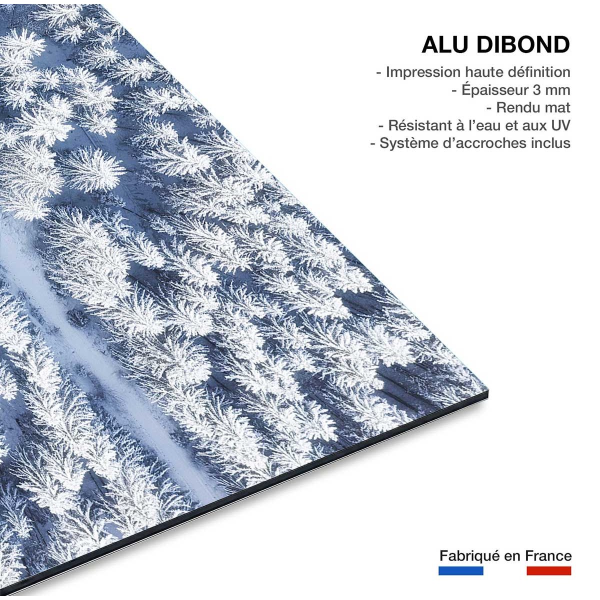 Tableau foret bleue de neige blanche tableau alu dibond, HEXOA