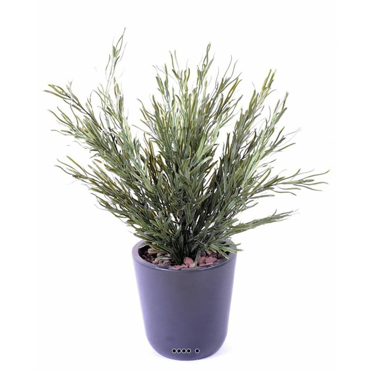 Podocarpus artificiel en piquet v002239, ARTIFICIELLES